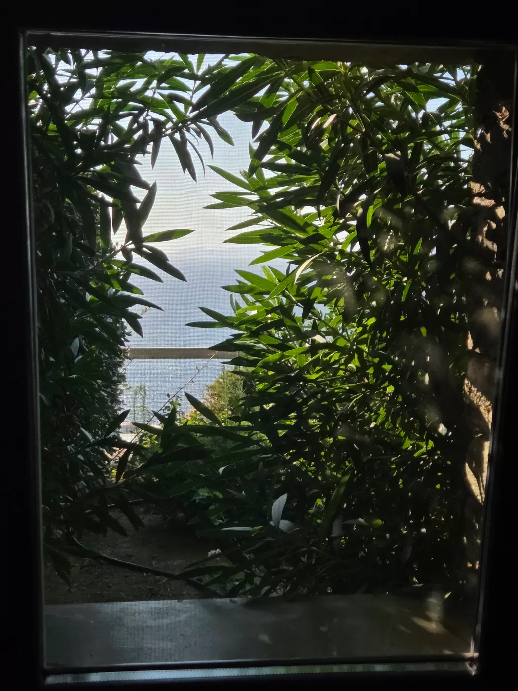 window2